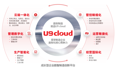 軟件產(chǎn)品的互聯(lián)網(wǎng)銷售 策略、優(yōu)勢(shì)與挑戰(zhàn)